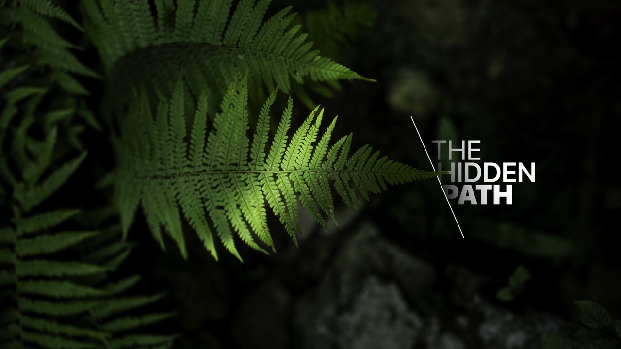 The hidden path
