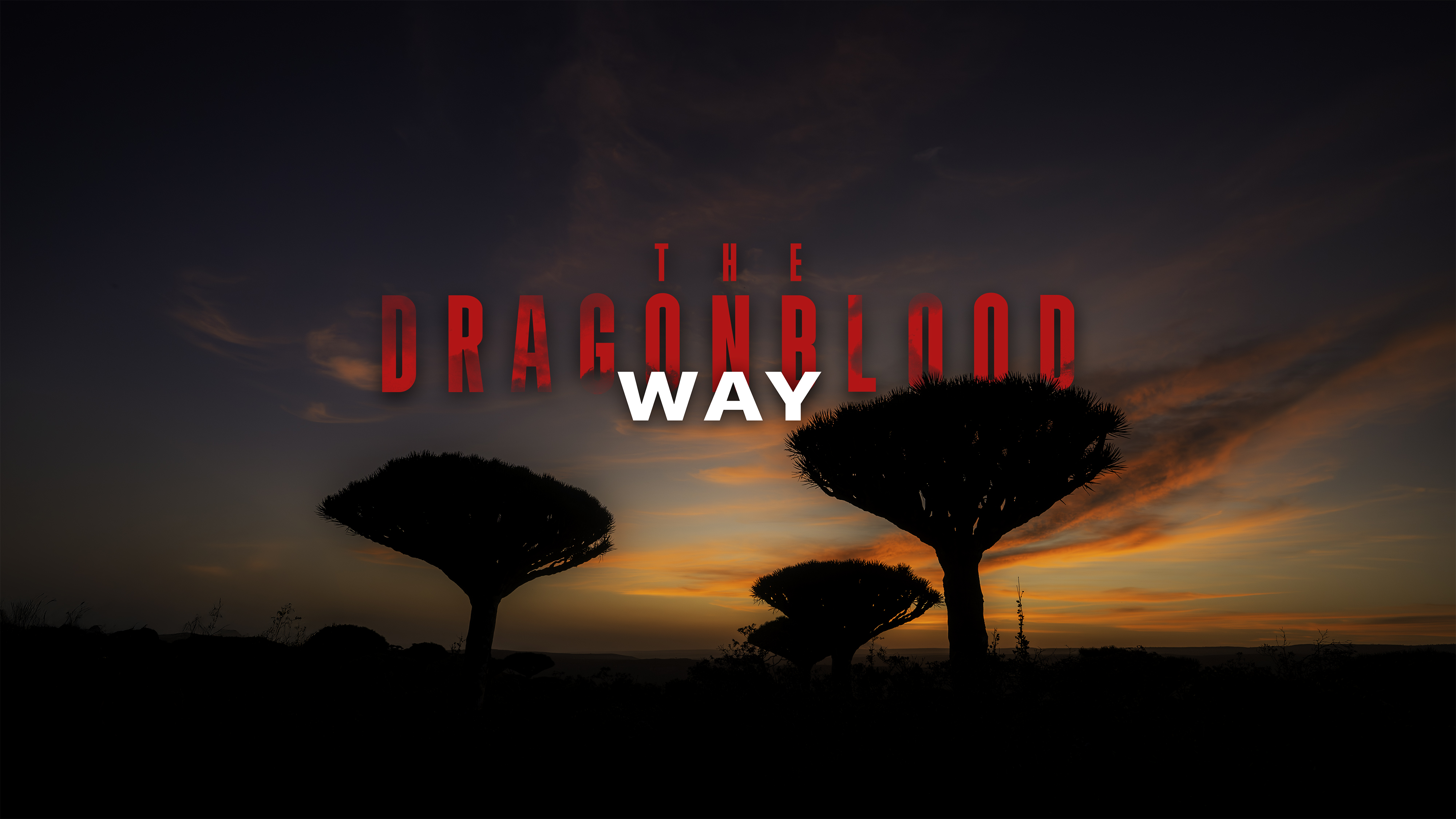 The Dragon Blood Way