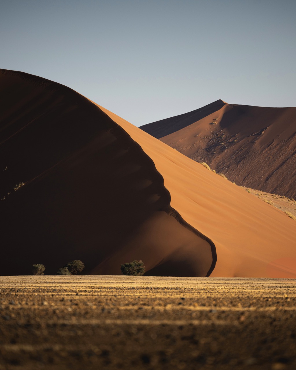 Desert Light 2