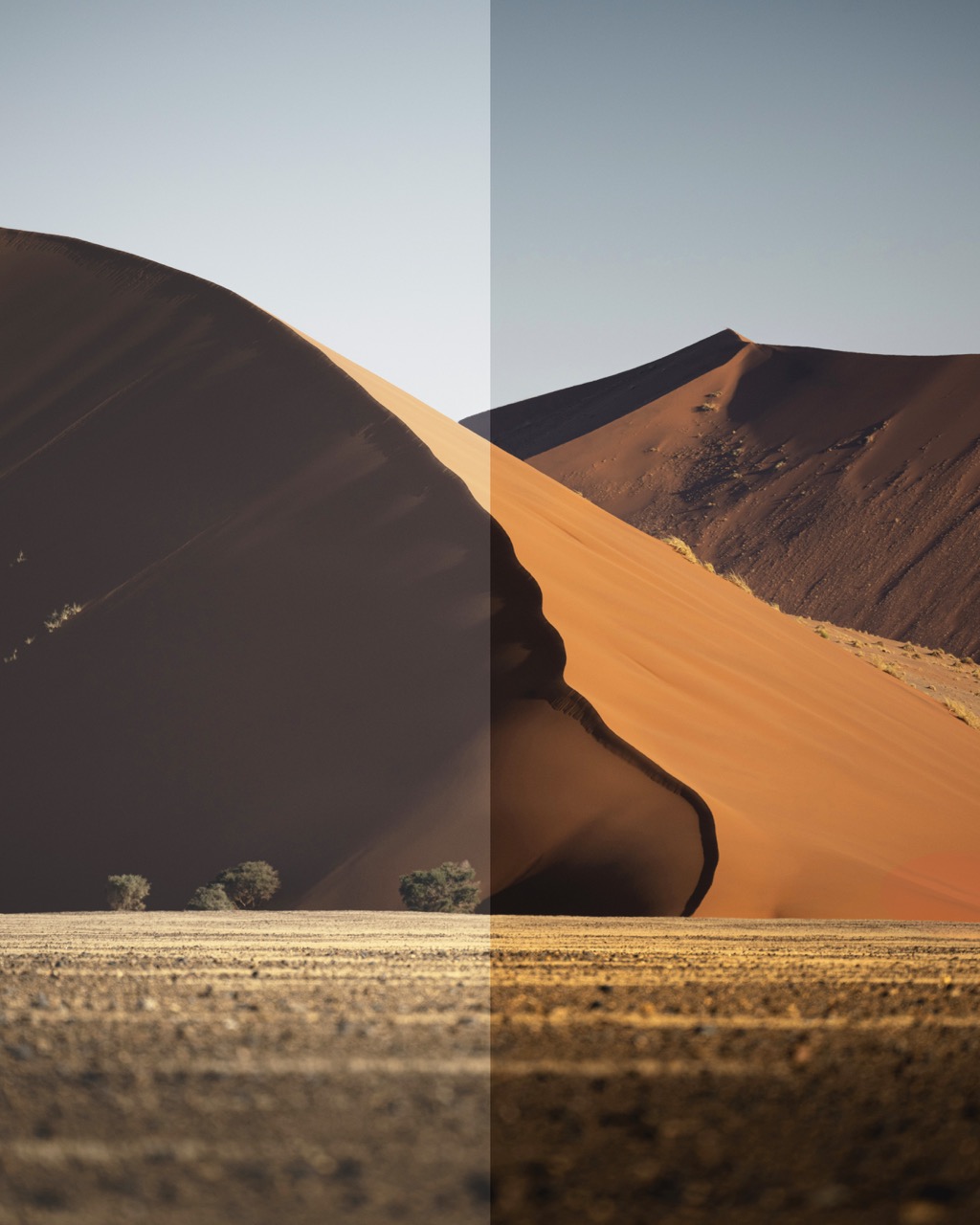 Desert Light 3